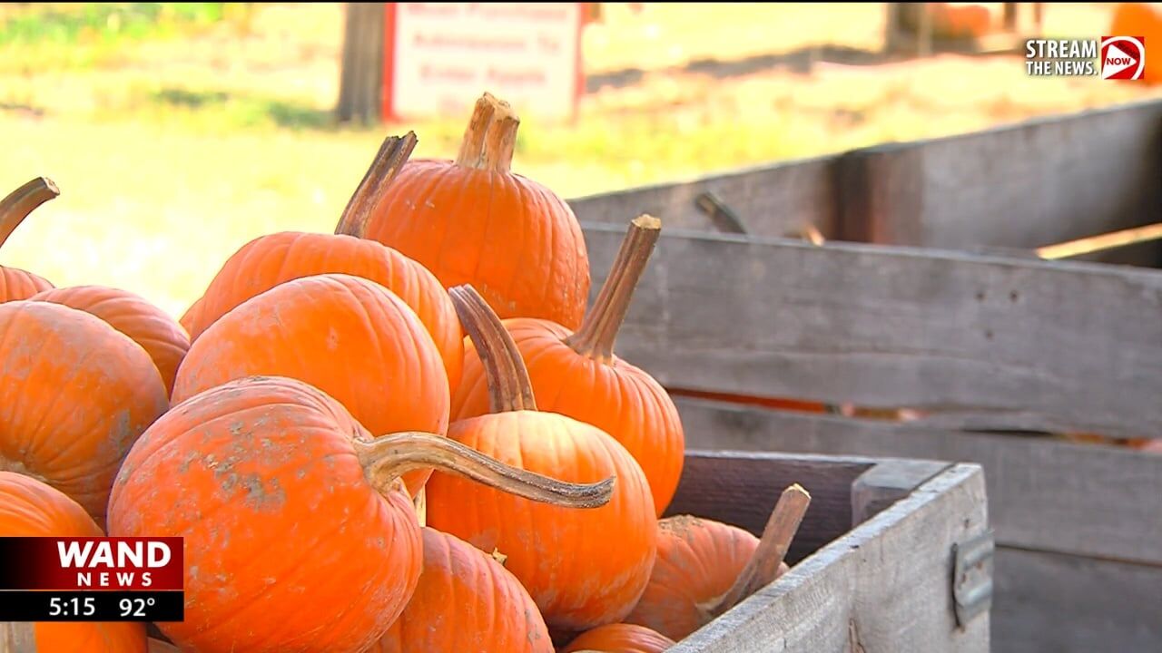 Curtis Orchard and Pumpkin Patch preparing to kick off fall season